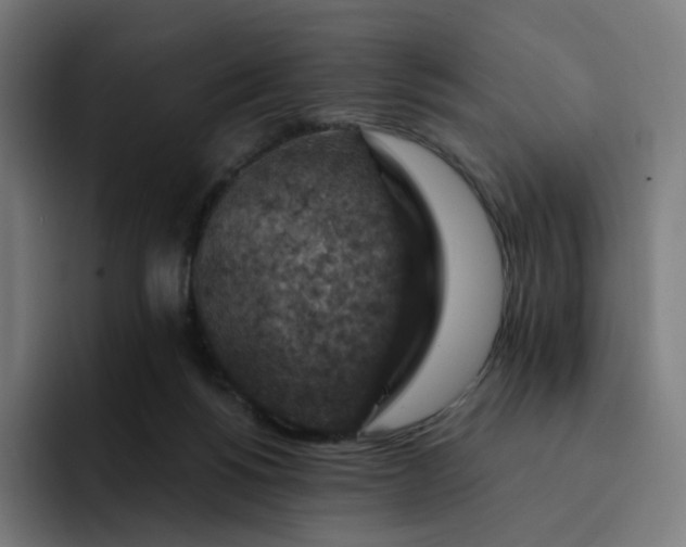 X0000093170168200710101219