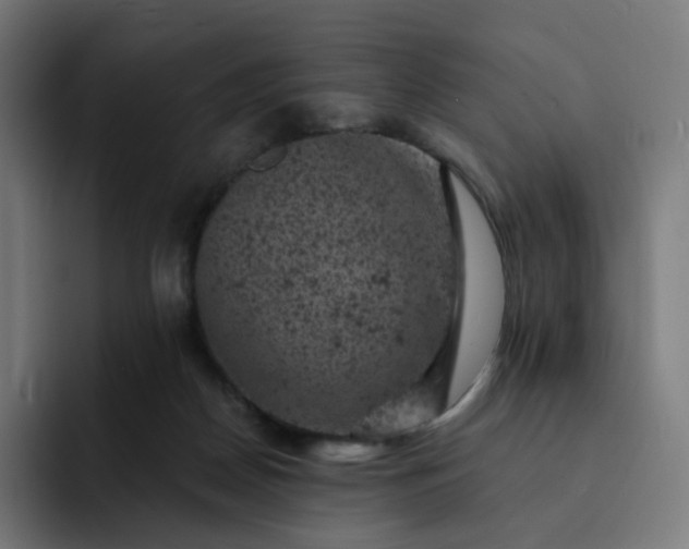X0000093170170200710101219