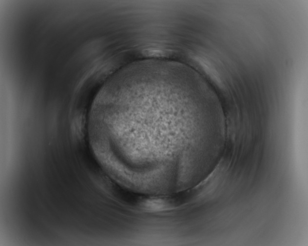 X0000093170171200710101219