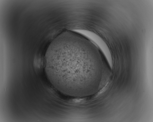 X0000093170172200710101219