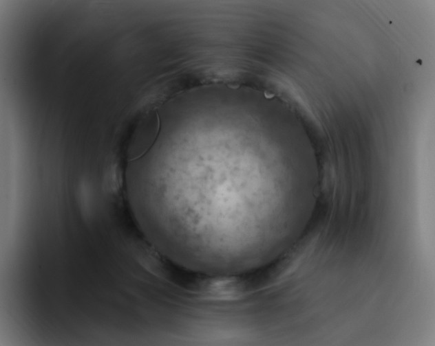 X0000093170173200710101219
