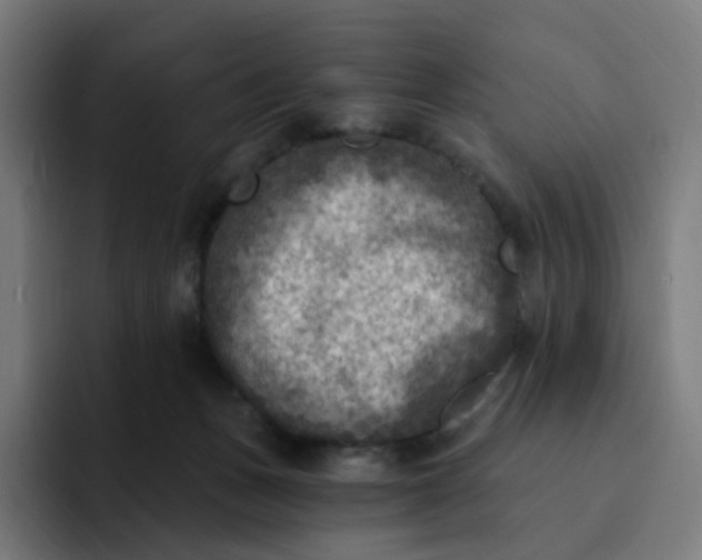 X0000093170175200710101219