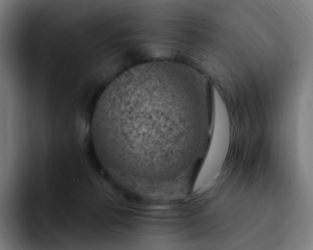 X0000093170176200710101219