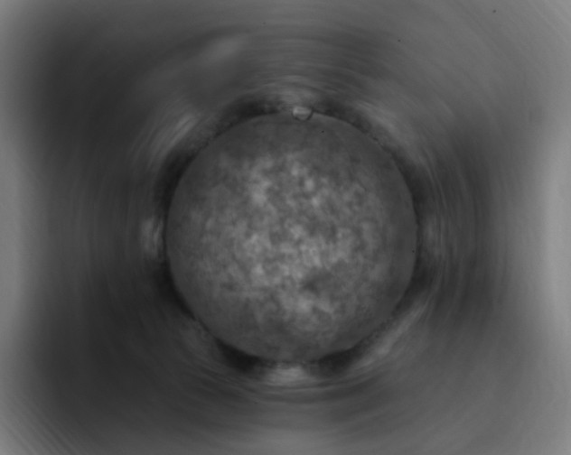 X0000093170177200710101219