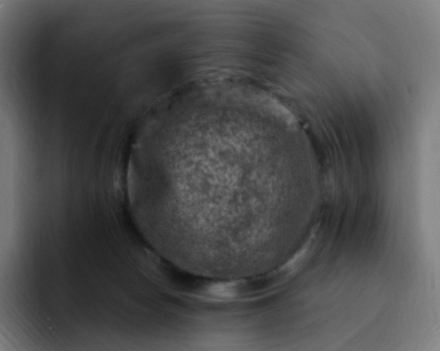 X0000093170178200710101219