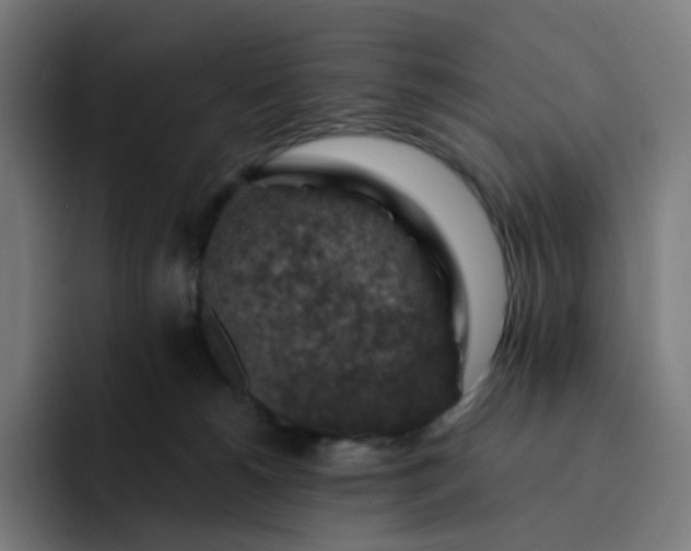X0000093170180200710101219