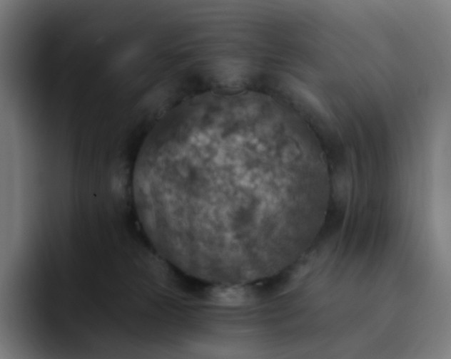 X0000093170181200710101219