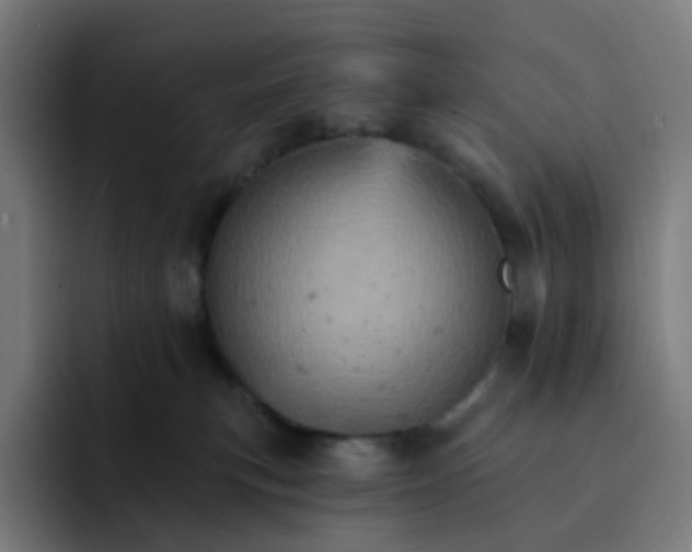 X0000093170183200710101219