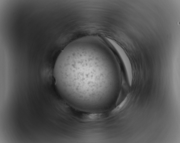 X0000093170184200710101219