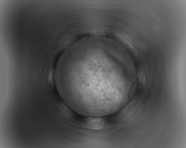 X0000093170185200710101219