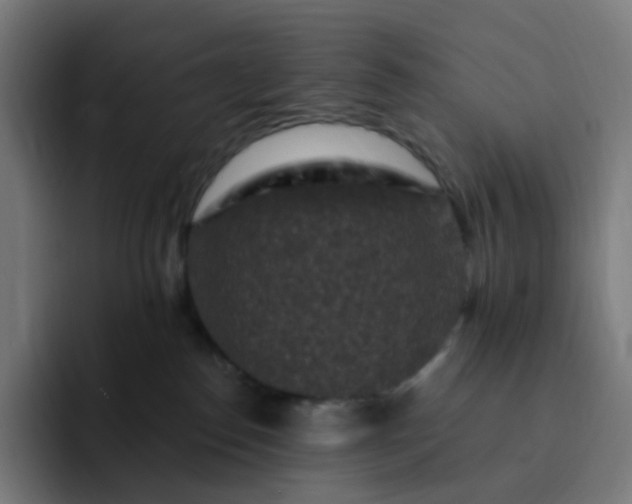 X0000093170186200710101219