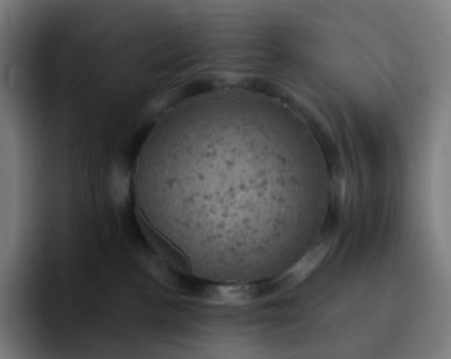 X0000093170188200710101219