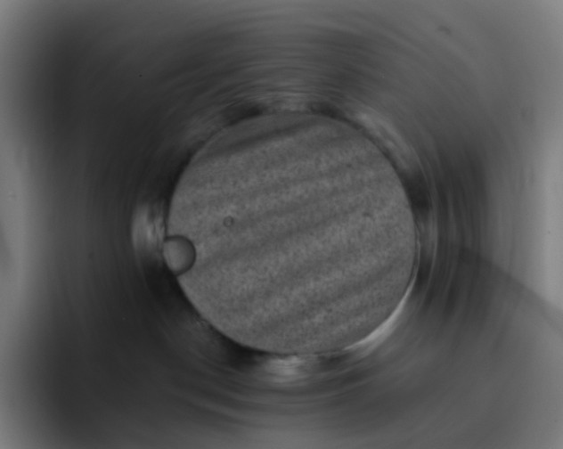 X0000093170190200710101219