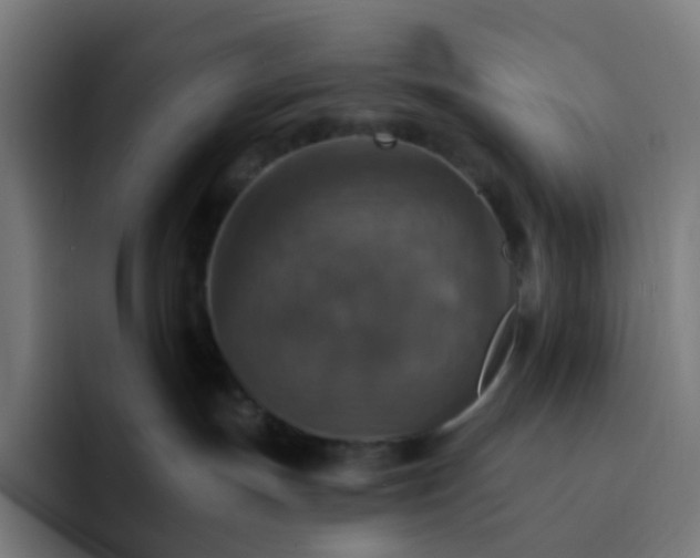 X0000093170191200710101219