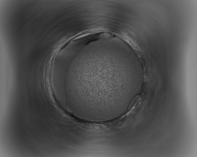 X0000093170193200710101219