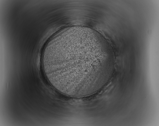 X0000093170194200710101219