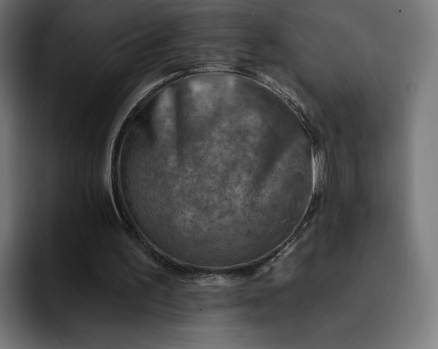 X0000093170195200710101219