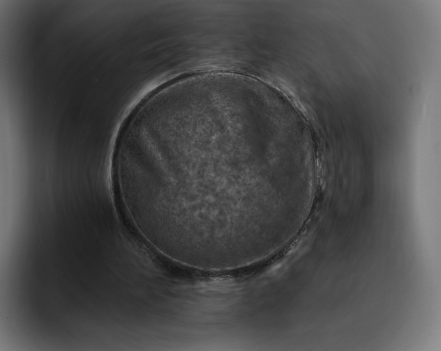 X0000093170196200710101219
