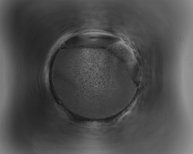 X0000093170197200710101219