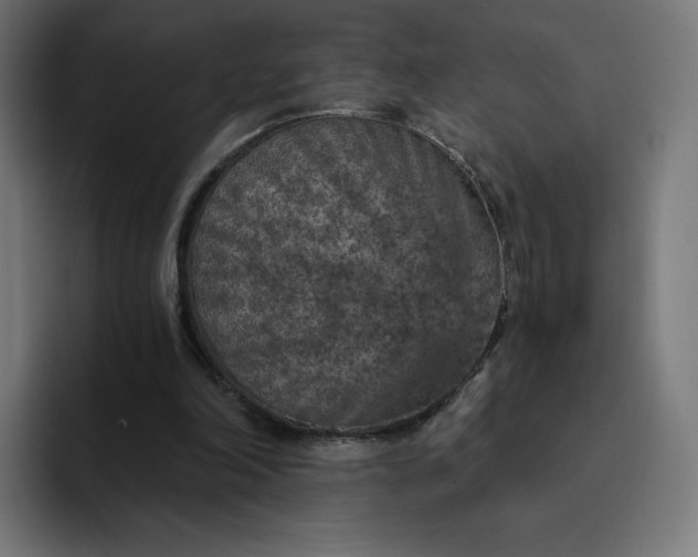 X0000093170198200710101219