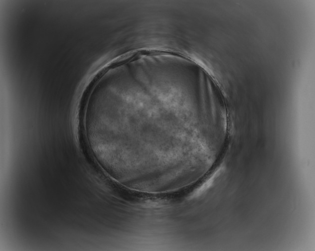 X0000093170199200710101219
