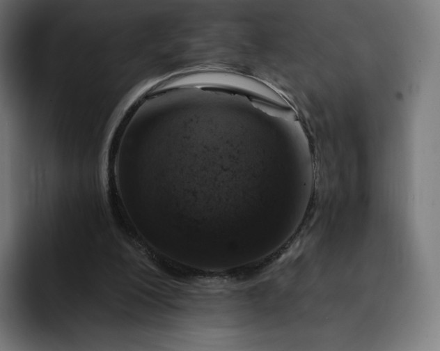 X0000093170200200710101219