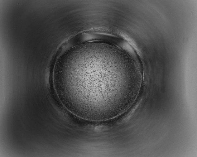 X0000093170201200710101219