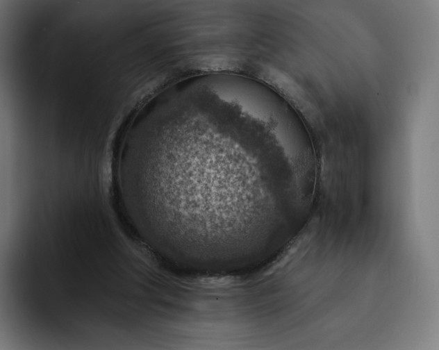 X0000093170202200710101219