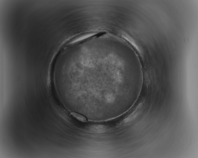 X0000093170203200710101219