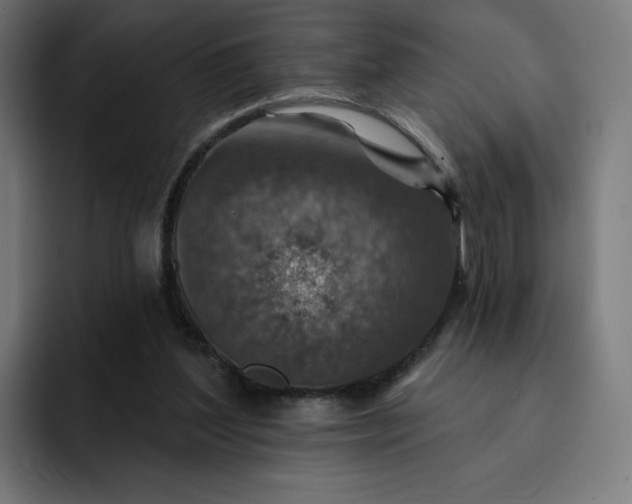 X0000093170204200710101219