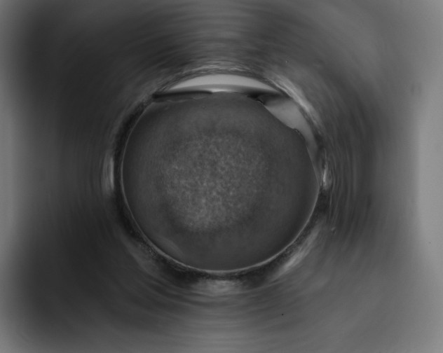 X0000093170205200710101219