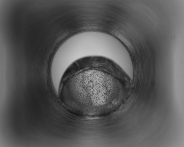 X0000093170207200710101219
