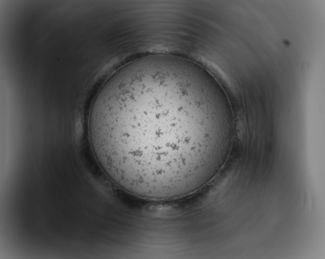 X0000093170208200710101218