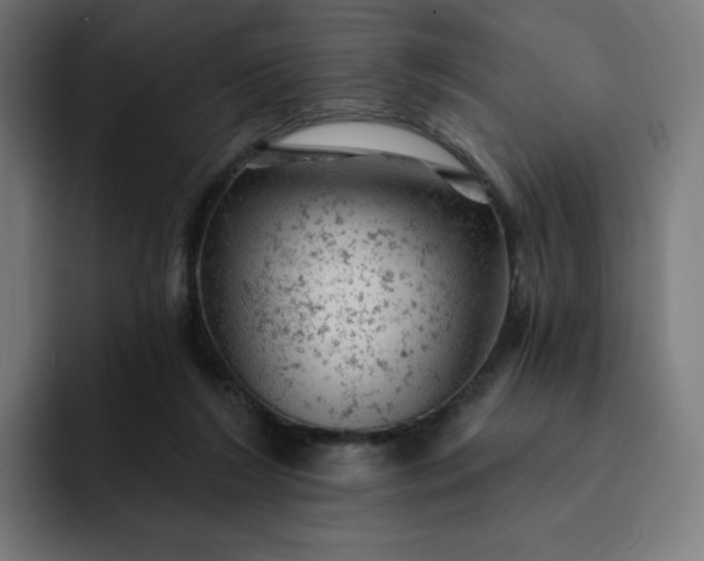 X0000093170212200710101218