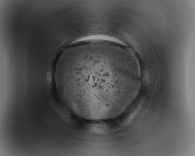 X0000093170215200710101218