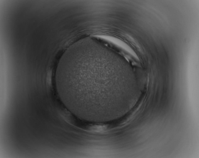 X0000093170217200710101218