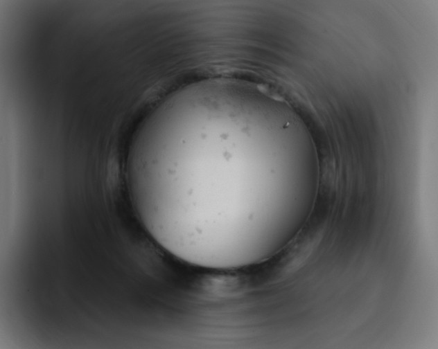 X0000093170220200710101218