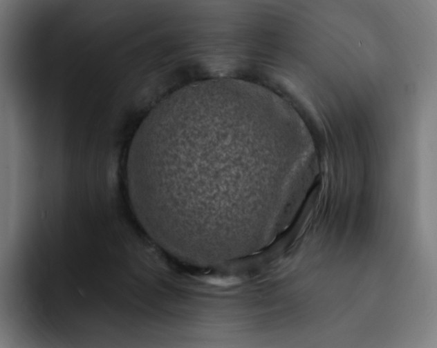 X0000093170221200710101218