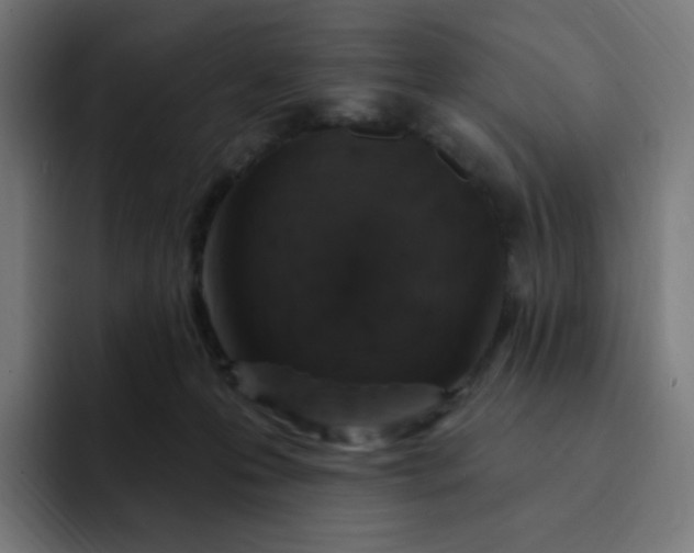 X0000093170223200710101218