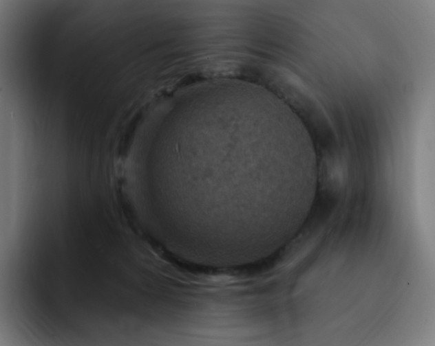 X0000093170224200710101218