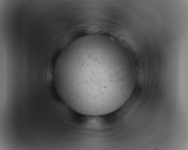 X0000093170226200710101218