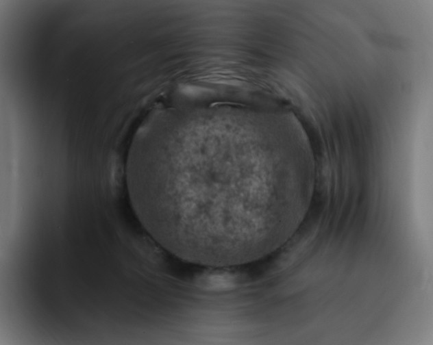 X0000093170228200710101218