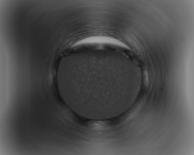 X0000093170229200710101218