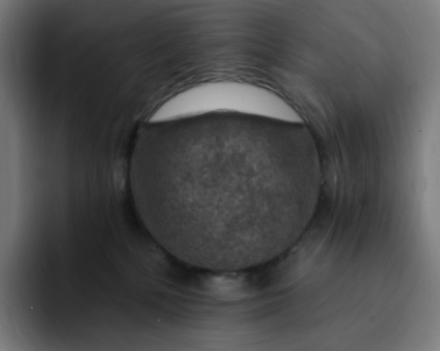 X0000093170232200710101218