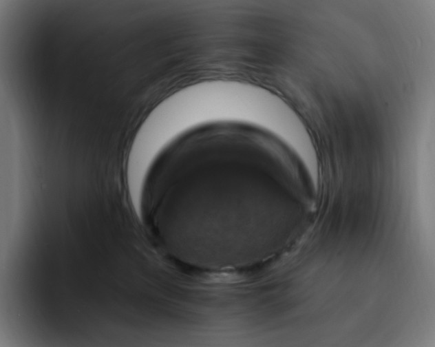 X0000093170233200710101218