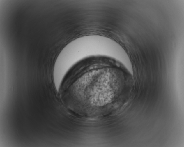 X0000093170235200710101218