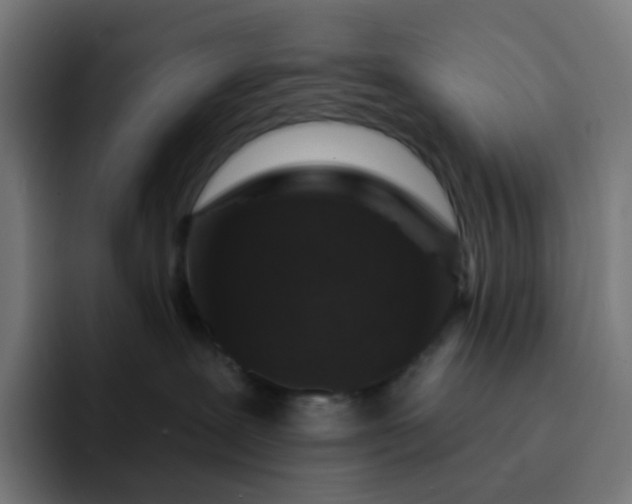 X0000093170239200710101218