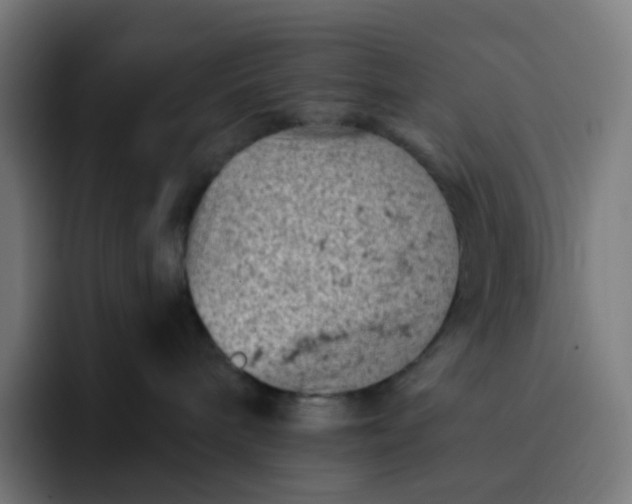 X0000093170240200710101218
