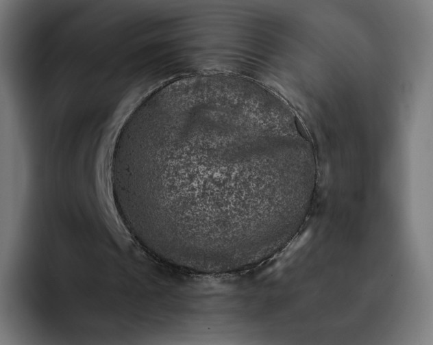 X0000093170241200710101218