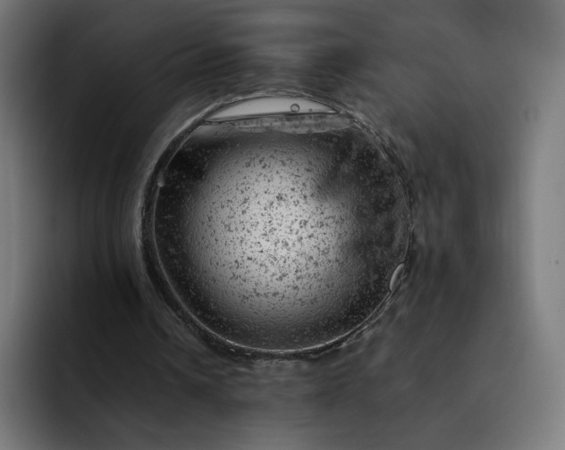 X0000093170242200710101218